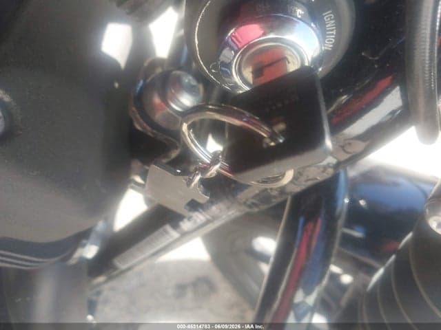2021 HARLEY-DAVIDSON XL1200 NS 11