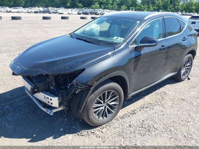 2025 LEXUS NX 350 2