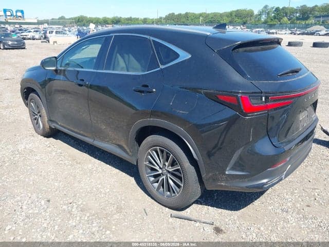 2025 LEXUS NX 350 3