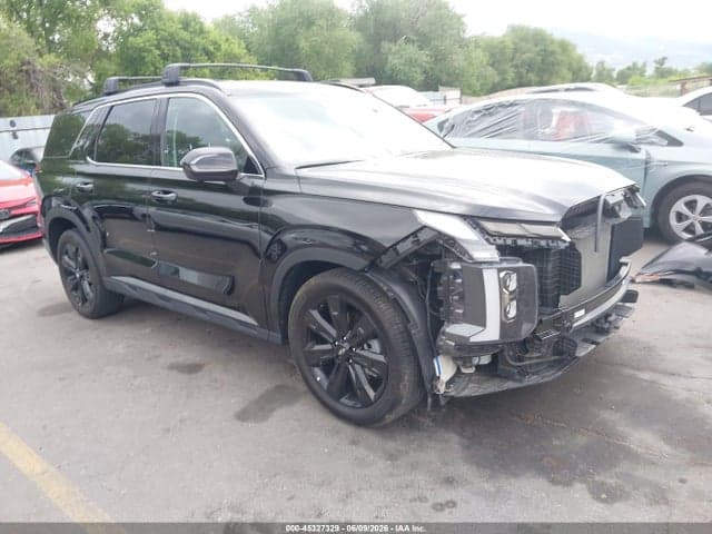 2025 HYUNDAI PALISADE XRT - 1