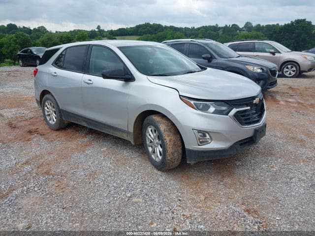 2019 CHEVROLET EQUINOX LS 1