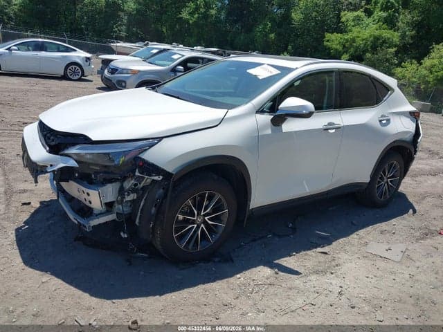 2024 LEXUS NX 350 PREMIUM 2