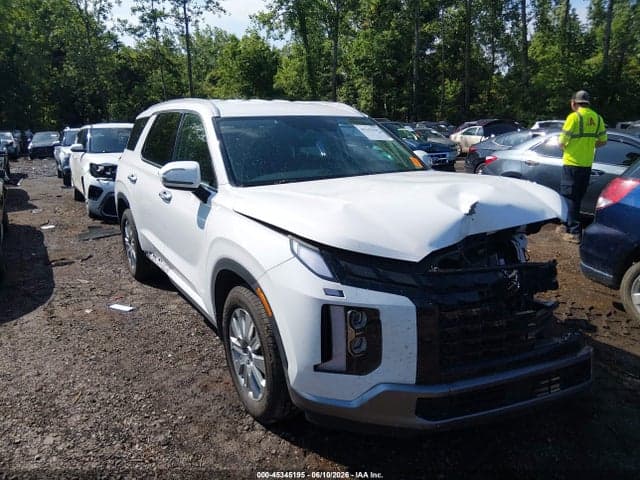 2025 HYUNDAI PALISADE SEL 1