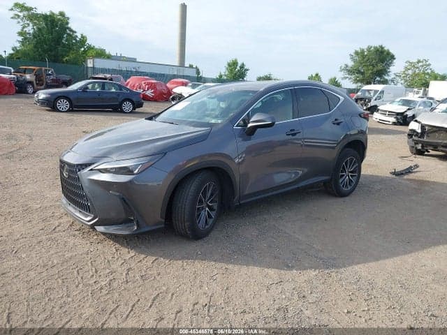 2025 LEXUS NX 350 PREMIUM 2