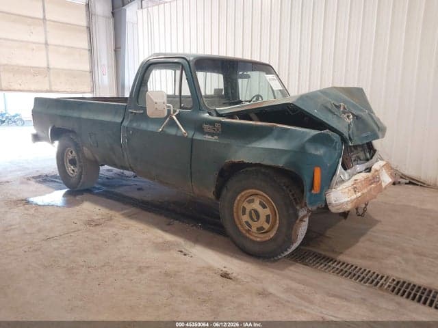 1979 CHEVROLET C20 FLEETSIDE