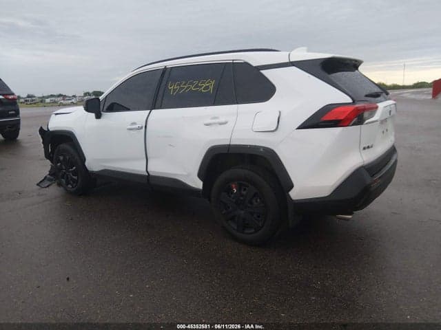 2019 TOYOTA RAV4 LE 3