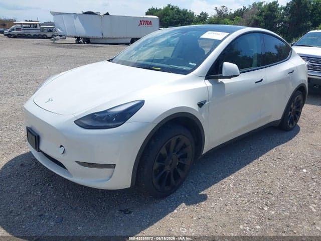 2023 TESLA MODEL Y RWD 2