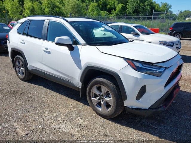 2024 TOYOTA RAV4 XLE 1