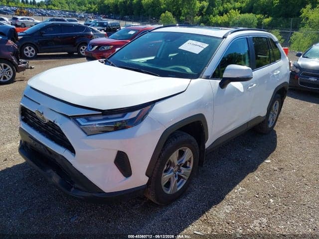 2024 TOYOTA RAV4 XLE 2