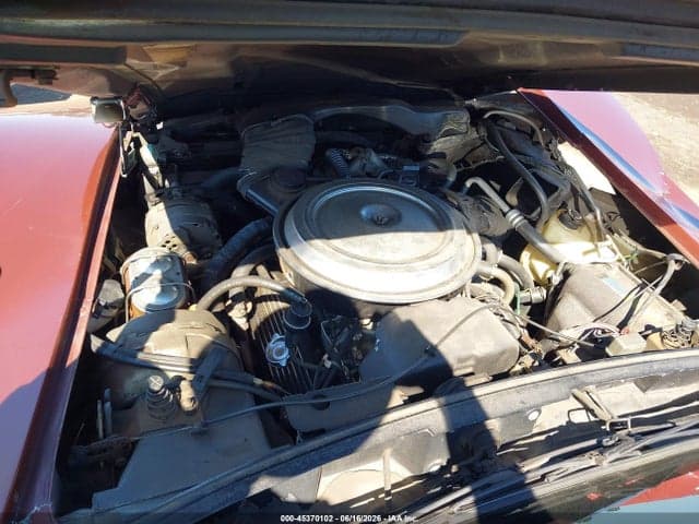 1981 CHEVROLET CORVETTE 10