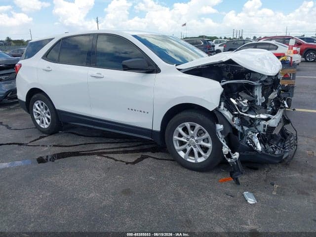 2019 CHEVROLET EQUINOX LS 1