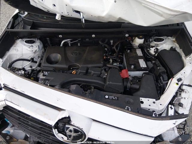 2025 TOYOTA RAV4 XLE 10