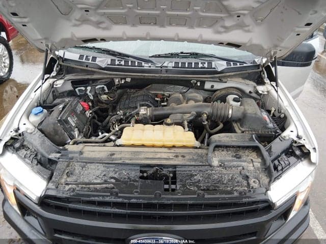 2019 FORD F-150 XL/XLT 10