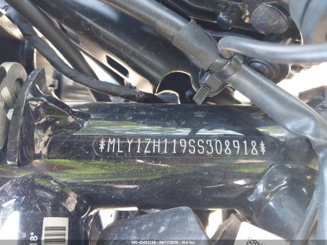 2025 HARLEY-DAVIDSON RH975 10