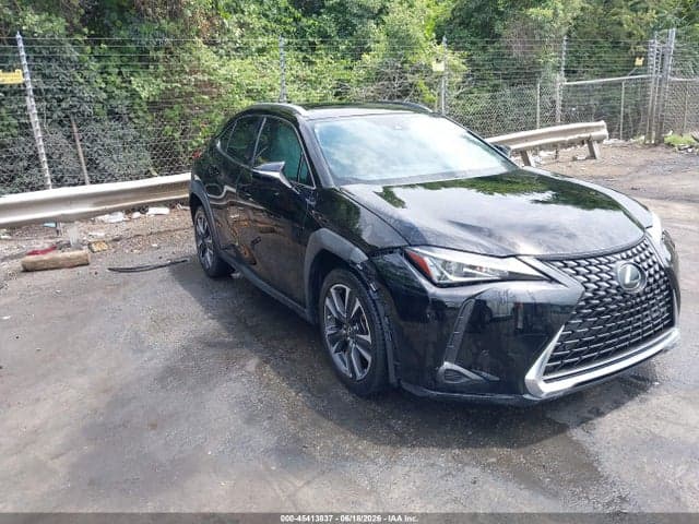 2019 LEXUS UX 200