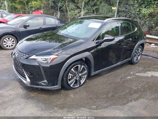 2019 LEXUS UX 200 2
