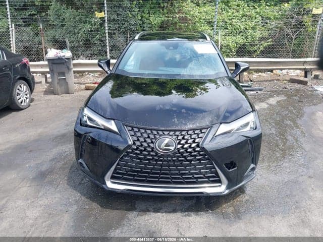 2019 LEXUS UX 200 12