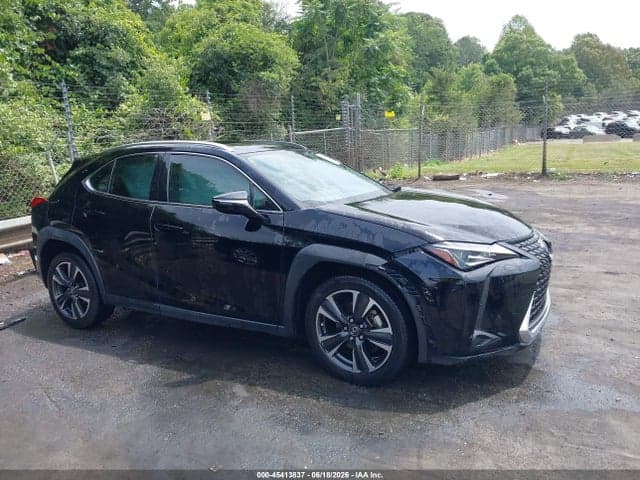 2019 LEXUS UX 200 13