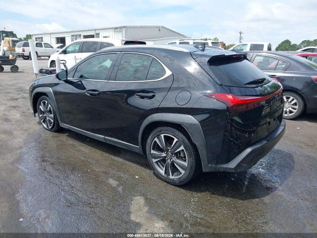 2019 LEXUS UX 200 3