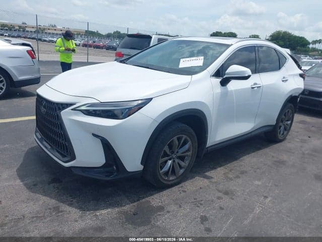 2026 LEXUS NX 350 2