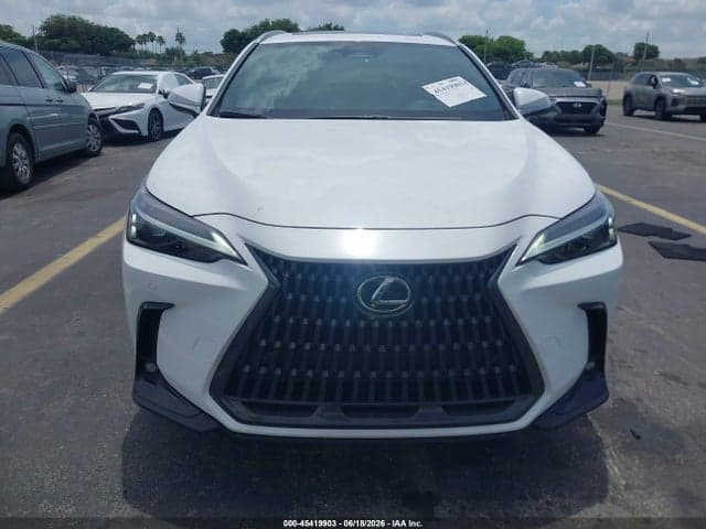 2026 LEXUS NX 350 12