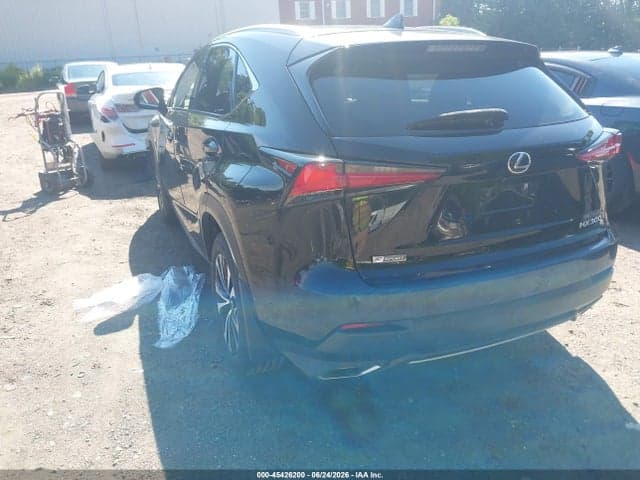 2019 LEXUS NX 300 F SPORT 3