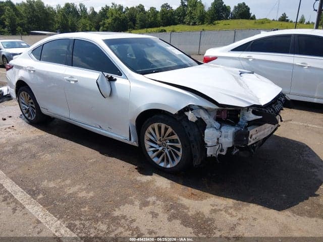 2019 LEXUS ES 300H LUXURY 1