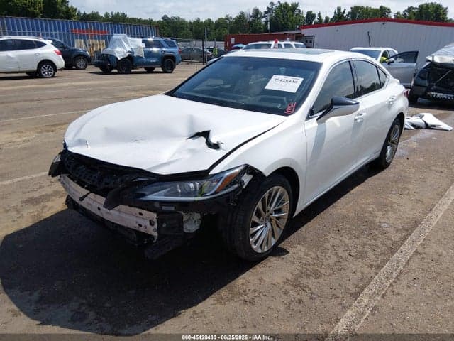 2019 LEXUS ES 300H LUXURY 2