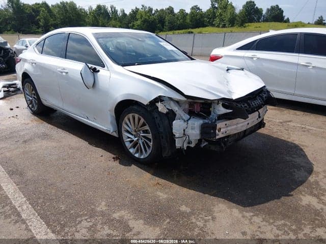 2019 LEXUS ES 300H LUXURY 6