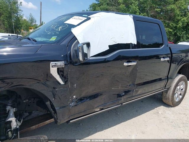 2023 FORD F-150 PLATINUM 6