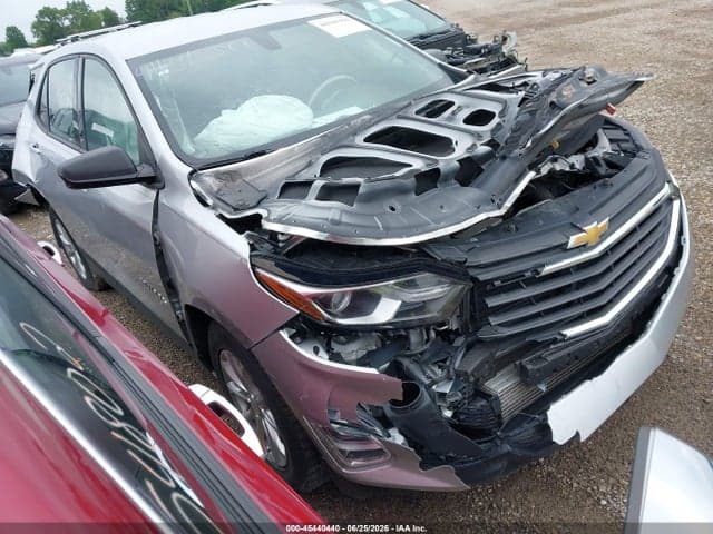 2019 CHEVROLET EQUINOX LS 1