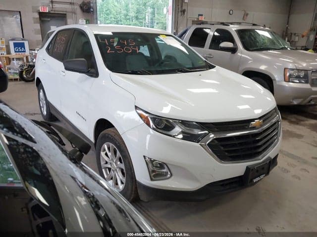 2019 CHEVROLET EQUINOX LS 1
