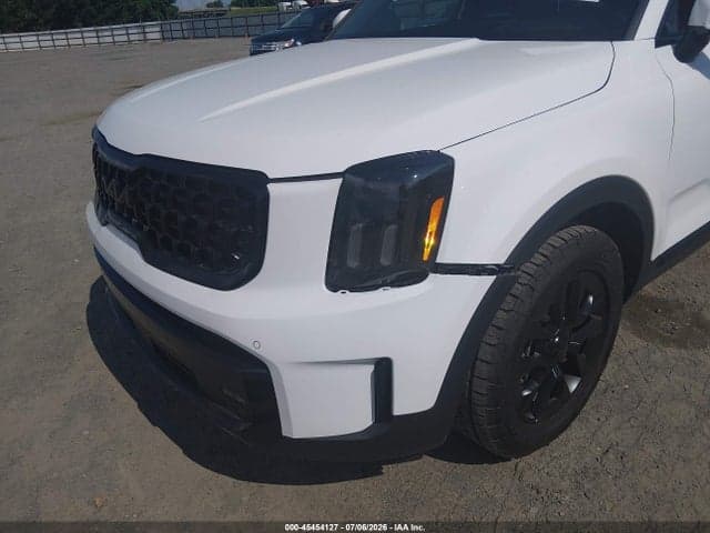 2025 KIA TELLURIDE SX PRESTIGE X-PRO 19