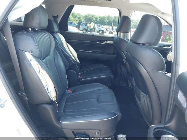 2024 HYUNDAI PALISADE LIMITED 8