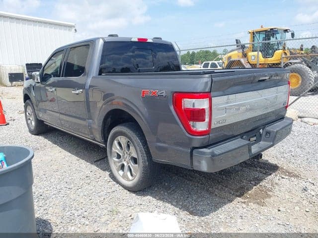 2023 FORD F-150 PLATINUM 3