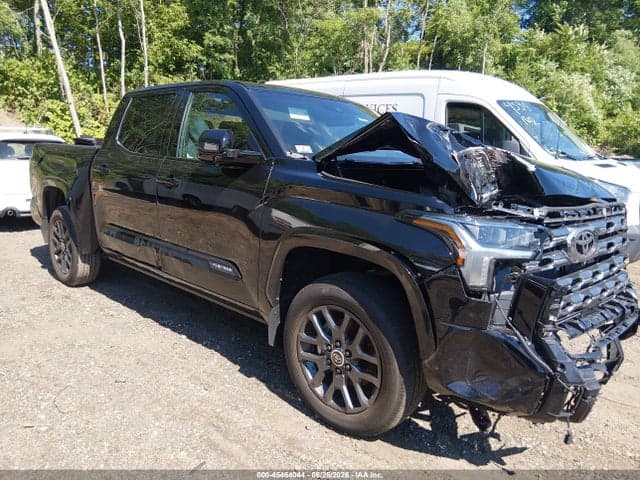 2024 TOYOTA TUNDRA PLATINUM - 1