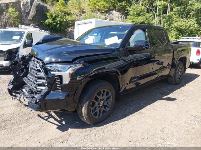 2024 TOYOTA TUNDRA PLATINUM 2