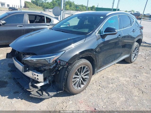 2024 LEXUS NX 250 PREMIUM 2