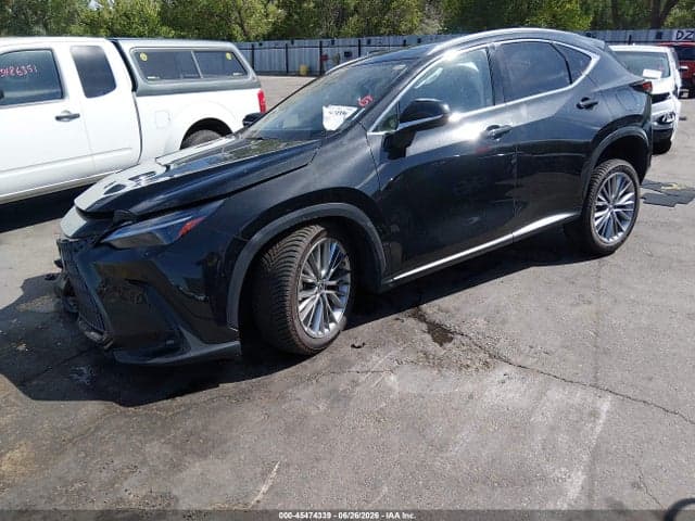 2022 LEXUS NX 350H LUXURY 2