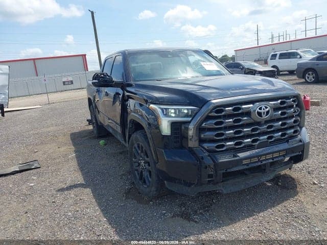 2022 TOYOTA TUNDRA PLATINUM - 1