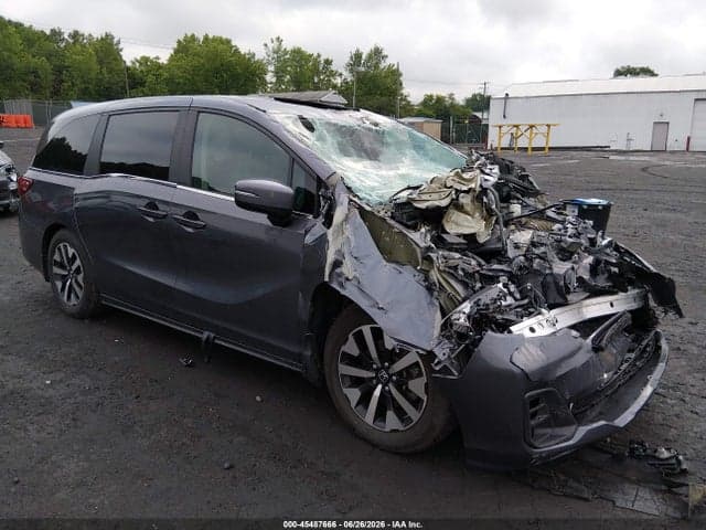 2025 HONDA ODYSSEY EX-L - 1