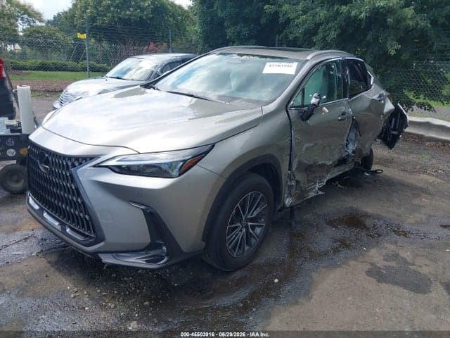 2025 LEXUS NX 250 PREMIUM 2