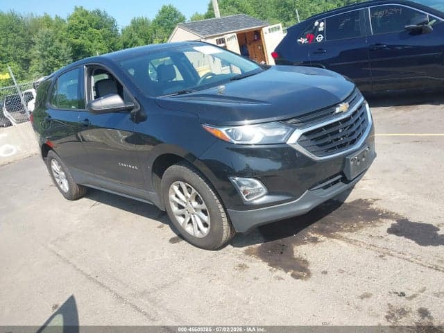 2019 CHEVROLET EQUINOX LS 1