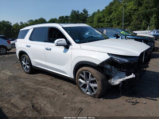 2020 HYUNDAI PALISADE SEL - 1