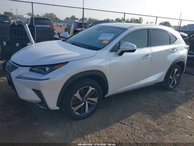 2020 LEXUS NX 300H 2