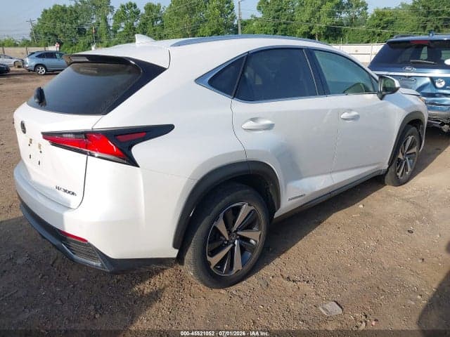 2020 LEXUS NX 300H 4