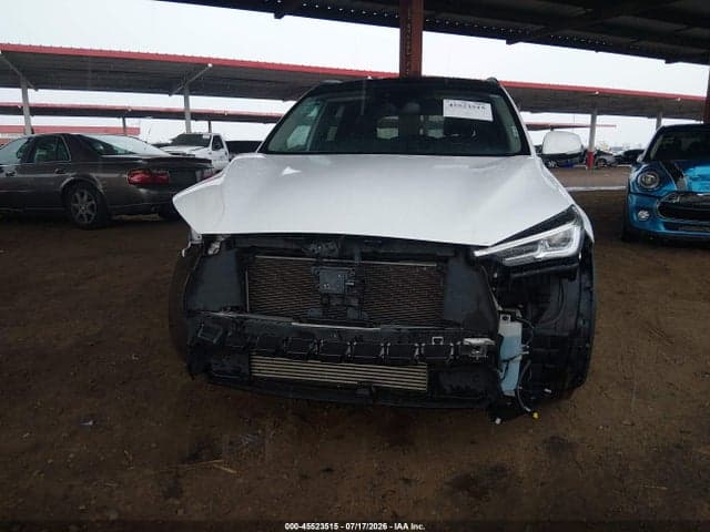 2019 INFINITI QX50 LUXE 13