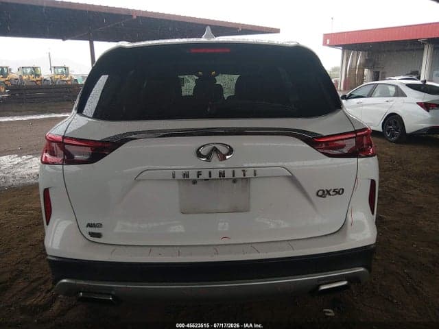 2019 INFINITI QX50 LUXE 17