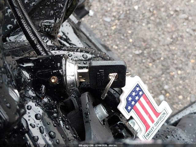 2021 HARLEY-DAVIDSON XL1200 NS 11
