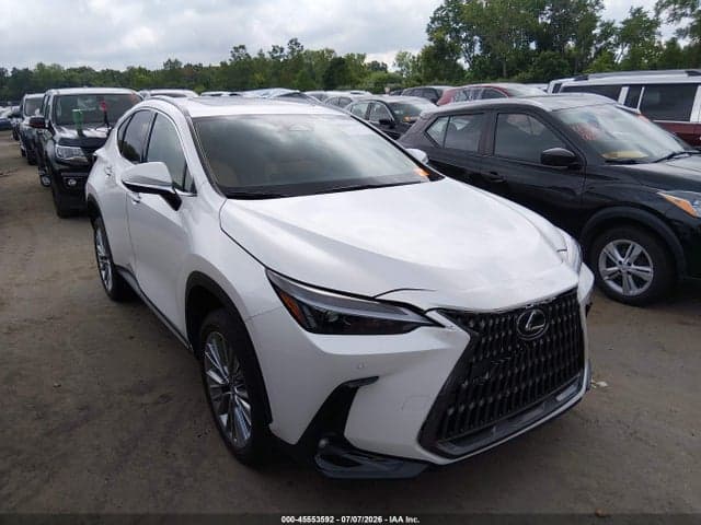 2025 LEXUS NX 350 PREMIUM - 1